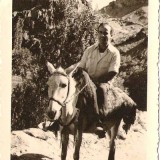 מאיר באיראן, אוגוסט – אוקטובר 1949